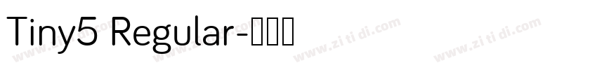 Tiny5 Regular字体转换